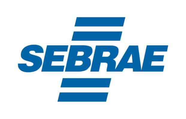 Norte de Minas - Sebrae lança o guia "10 Dicas do Sebrae para o Candidato"