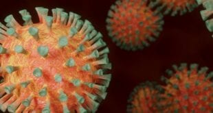 MG - Estado de Minas Gerais inclui casos suspeitos de reinfecção por covid-19 em novo protocolo