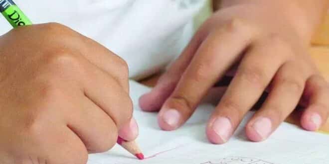 MG - Aulas na rede estadual de Minas vão até 30 de janeiro de 2021, mas estudantes terão recessos