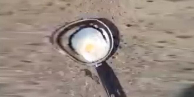 Com calor, ovo frita no asfalto no interior de Minas; veja o vídeo