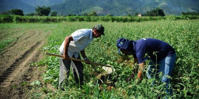 Saneamento básico: gestão comunitária da água é a esperança para 17 milhões de moradores da área rural