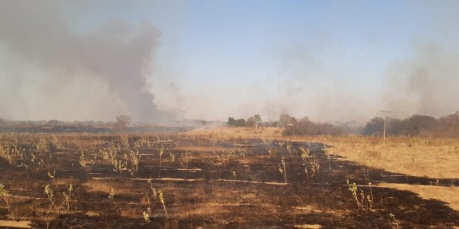Norte de Minas - Bombeiros atendem ocorrências de incêndio em área rural dos municípios de Porteirinha, Janaúba e Jaíba