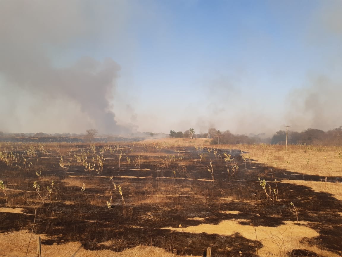 Norte de Minas - Bombeiros atendem ocorrências de incêndio em área rural dos municípios de Porteirinha, Janaúba e Jaíba