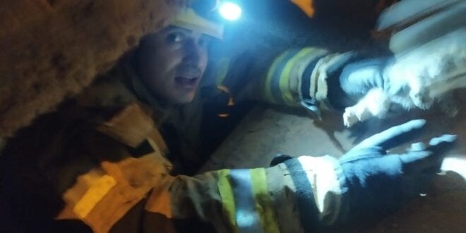 Montes Claros - Militares do Corpo de Bombeiros resgatam filhotes de gato em Montes Claros