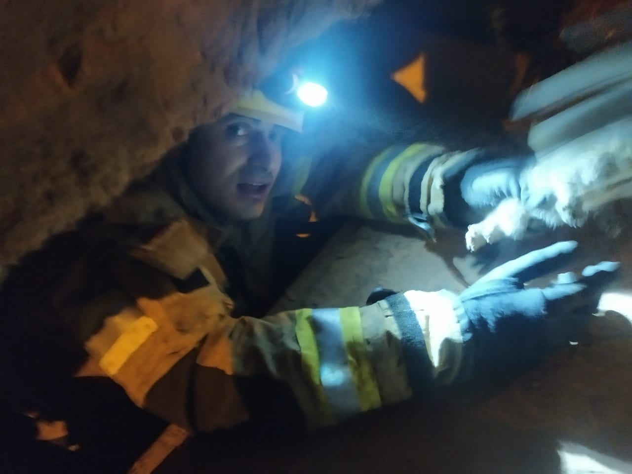 Montes Claros - Militares do Corpo de Bombeiros resgatam filhotes de gato em Montes Claros