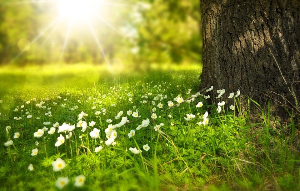 5 cuidados que a vagina precisa, especialmente, no verão