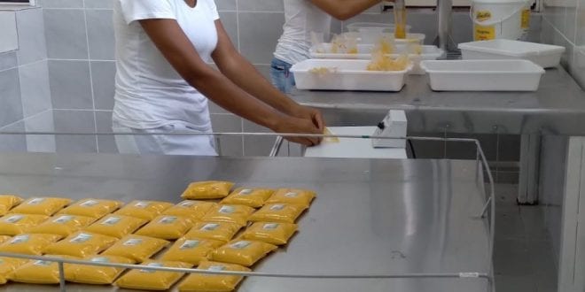 Norte de Minas - Banco do Nordeste apoia projeto sustentável de fruticultura gerido por jovens em Porteirinha