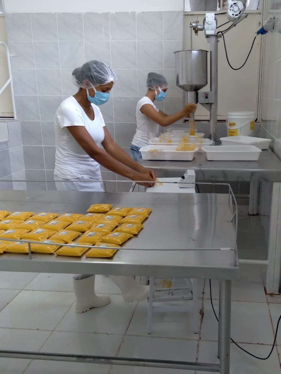 Norte de Minas - Banco do Nordeste apoia projeto sustentável de fruticultura gerido por jovens em Porteirinha