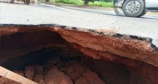 Montes Claros - Bombeiros salvam cachorra que caiu em buraco com 3 metros de profundidade