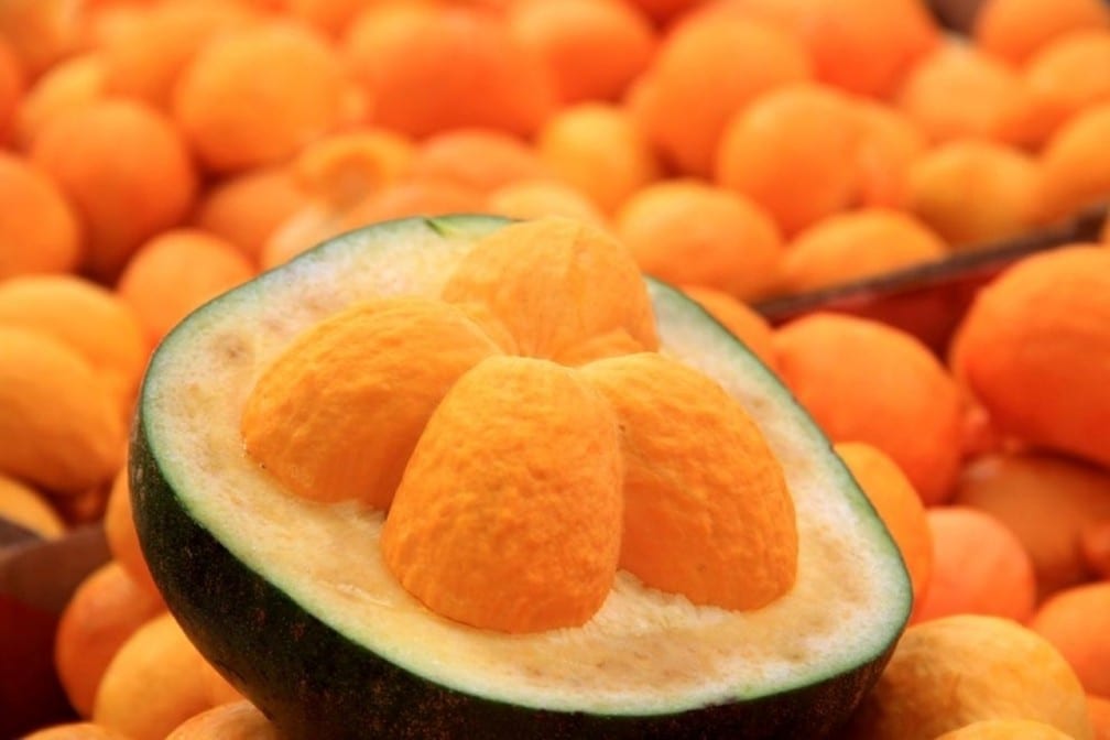 Norte de Minas - Safra de pequi no Norte de Minas anima feirantes pela quantidade e qualidade do fruto