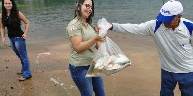 Norte de Minas - Centros de recursos pesqueiros e aquicultura da Codevasf produziram 8,3 milhões de peixes em 2020