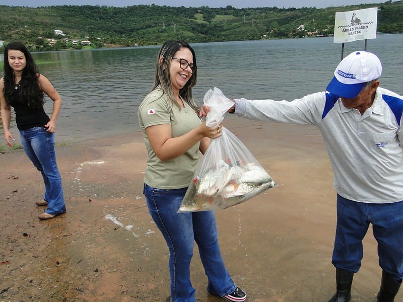 Norte de Minas - Centros de recursos pesqueiros e aquicultura da Codevasf produziram 8,3 milhões de peixes em 2020
