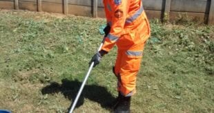 a jiboia de 1,5 metro foi capturada e colocada em uma caixa apropriada para transporte