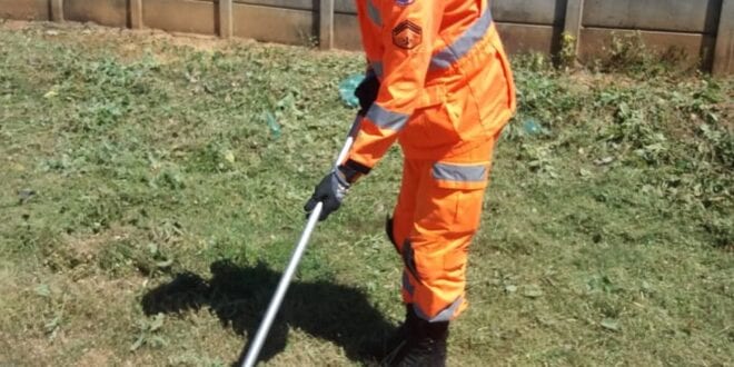 a jiboia de 1,5 metro foi capturada e colocada em uma caixa apropriada para transporte