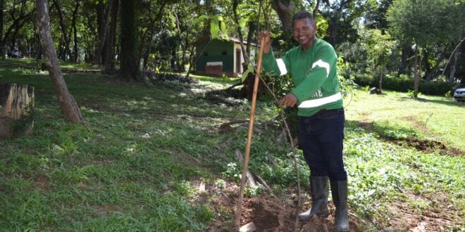 Plantio no Parque Milton Prates