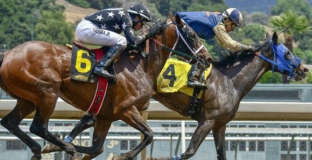 A corrida de cavalos é um exemplo de esporte muito visado nas apostas online.