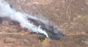 Norte de Minas - Estado passa a monitorar diariamente, por via aérea, incêndios florestais no Norte de Minas