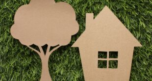 Casa sustentável: confira seus benefícios