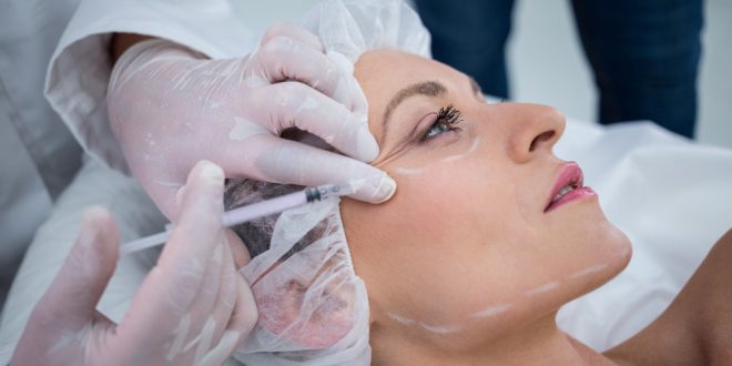 segmento esteticista