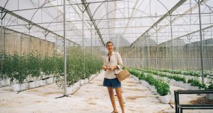 Como usar shorts de forma elegante?