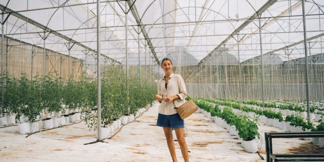 Como usar shorts de forma elegante?