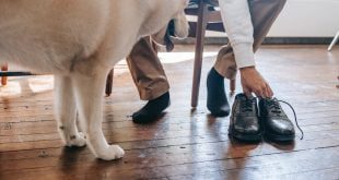 Como usar meias masculinas de forma elegante