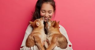 Cuidados pet: inovações que todo tutor deveria conhecer