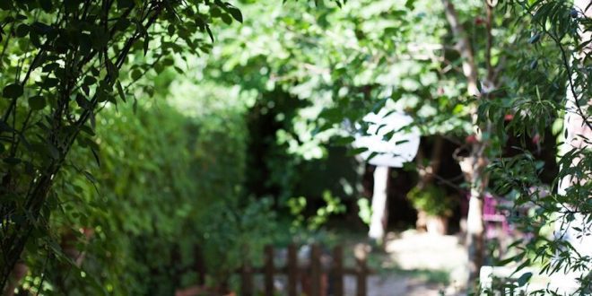 7 dicas de jardinagem para facilitar a manutenção do quintal