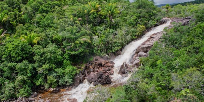 Roteiros personalizados: saiba como explorar locais com a natureza preservada