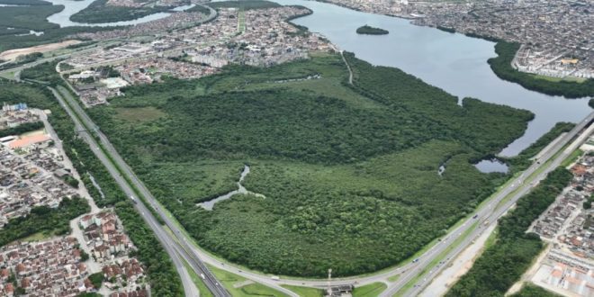 Cidades Verdes do Mundo: 34 municípios brasileiros fazem parte de seleta lista da ONU