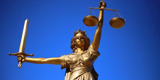 Quantas especializações existem no Direito?