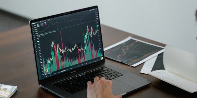 Conheça os principais tipos de investimento e as suas características