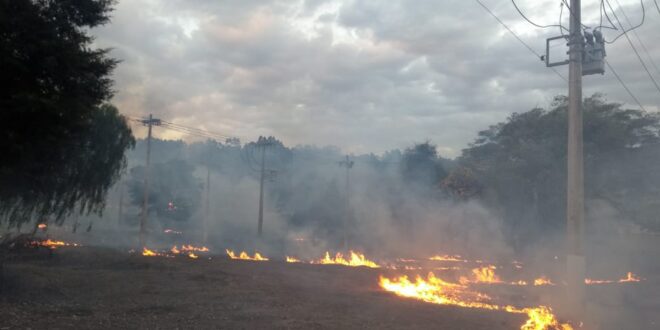 Cemig registra quase 2 mil alertas de incêndios próximos à rede elétrica no 1º semestre de 2025