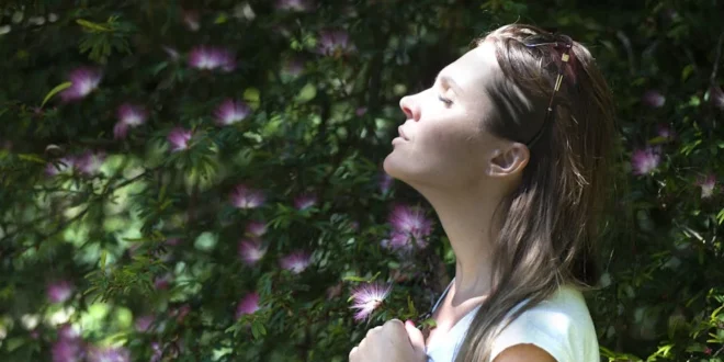 Mindfulness para Iniciantes 5 Passos para Começar