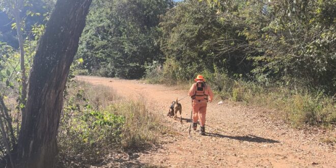 Pessoa desaparecida é localizada em São João da Vereda após busca do Corpo de Bombeiros