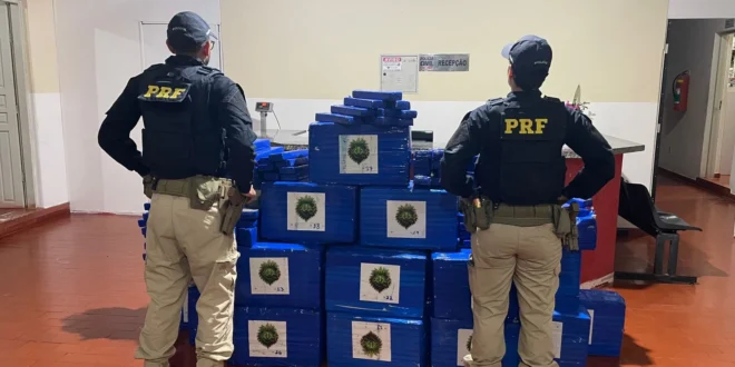 PRF apreende 700 kg de maconha em caminhão na BR-251, em Salinas