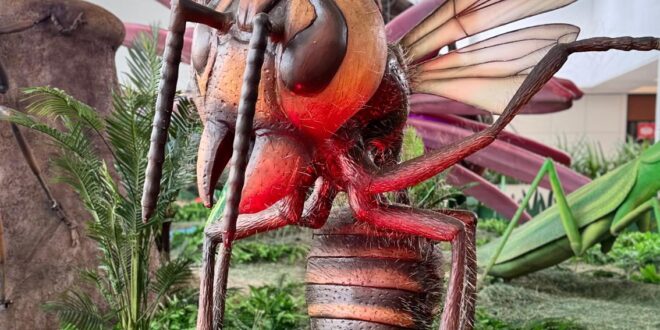 Gigantes da Natureza Encerram Temporada