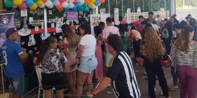 Mart Minas convoca ONGs de proteção animal para evento de adoção em Montes Claros