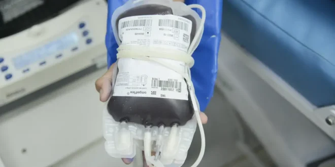 STF garante direito de pacientes recusarem transfusão por fé religiosa