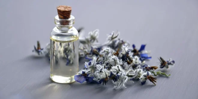 O crescimento e a valorização dos perfumes nacionais