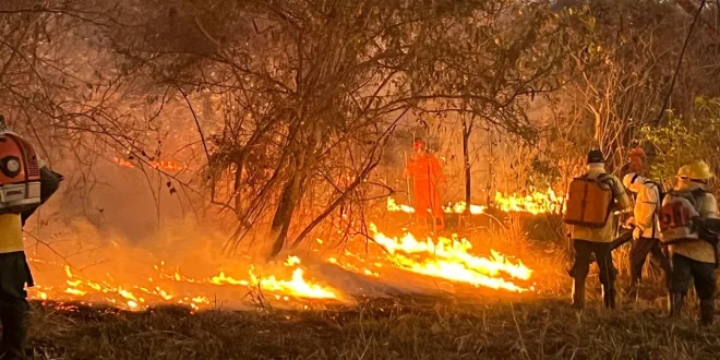 Incêndios florestais avançam no Norte de Minas e mobilizam bombeiros e brigadistas