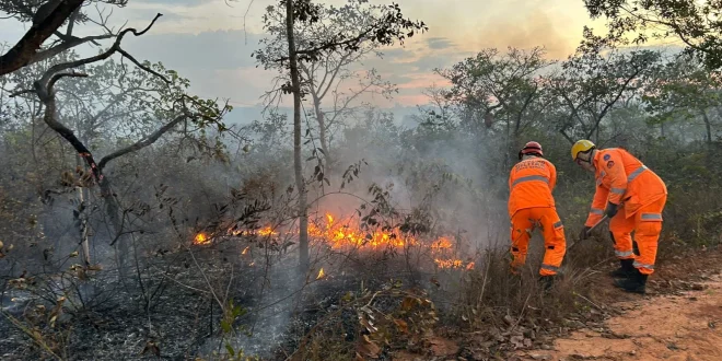 Vídeo: Incêndio de grandes proporções em Olhos d’Água, Planalto Rural e região