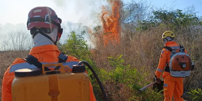 Incêndio em vegetação mobiliza Corpo de Bombeiros em Campo Limpo, zona rural de Bocaiúva