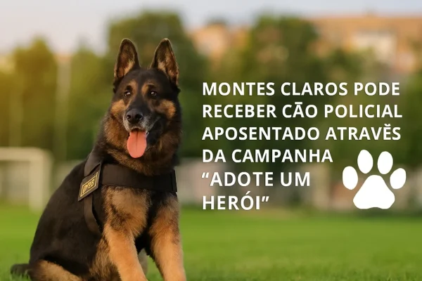 Montes Claros pode receber cão policial aposentado através campanha “Adote um Herói”