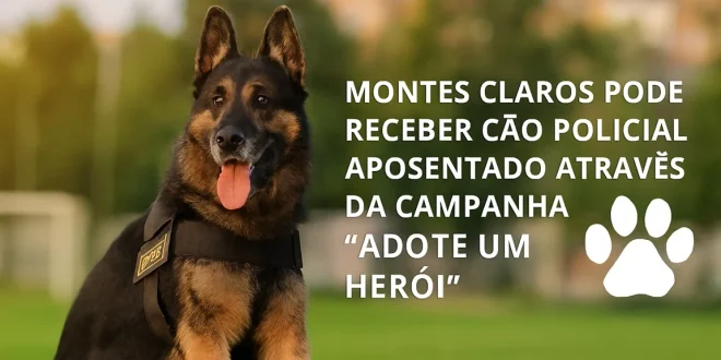 Montes Claros pode receber cão policial aposentado através campanha “Adote um Herói”