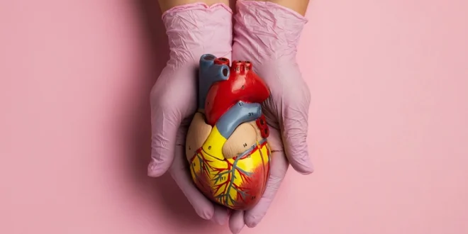 Doenças cardiovasculares seguem como principal causa de morte no Brasil e exigem atenção em Montes Claros