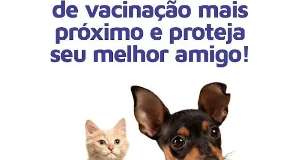 Prefeitura de Montes Claros realiza campanha de vacinação antirrábica para cães e gatos na região sul neste sábado (27)