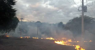 Queimadas provocam aumento expressivo nas interrupções de energia no Norte de Minas