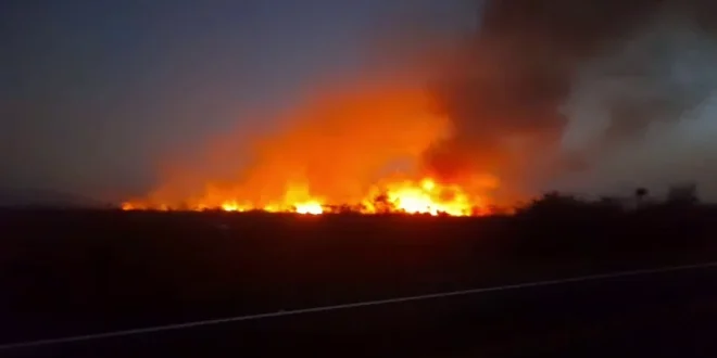 Norte de Minas - Incêndio florestal consome cerca de 7 mil hectares entre Verdelândia e São João da Ponte