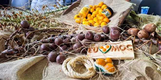 Montes Claros - Festa Nacional do Pequi 2025 transforma Montes Claros em palco da cultura geraizeira com música, gastronomia e identidade regional